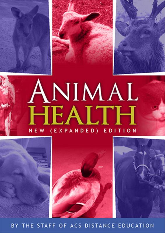 animal-health-2nd-edition-pdf-ebook-main