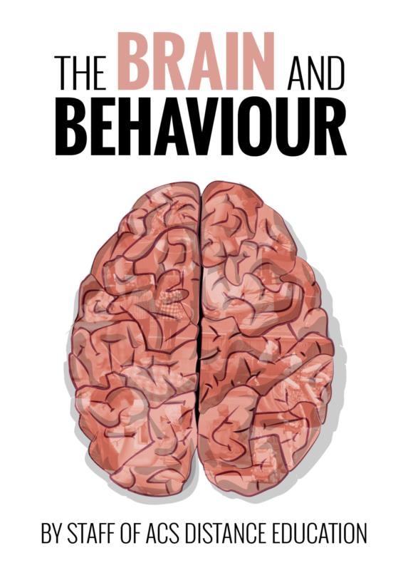 the-brain-and-behaviour-pdf-ebook-main